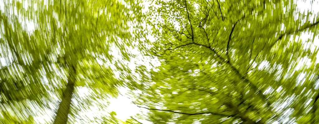 Dizziness & Vertigo Wasilla & Anchorage, AK