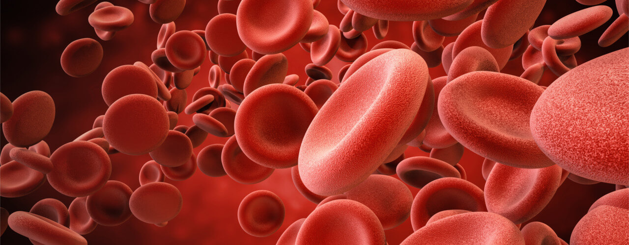 Regenerative Rehab Wasilla & Anchorage, AK